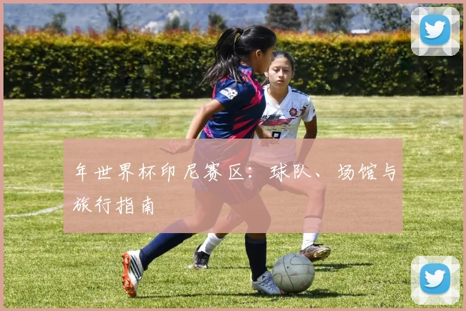 年世界杯印尼赛区：球队、场馆与旅行指南
