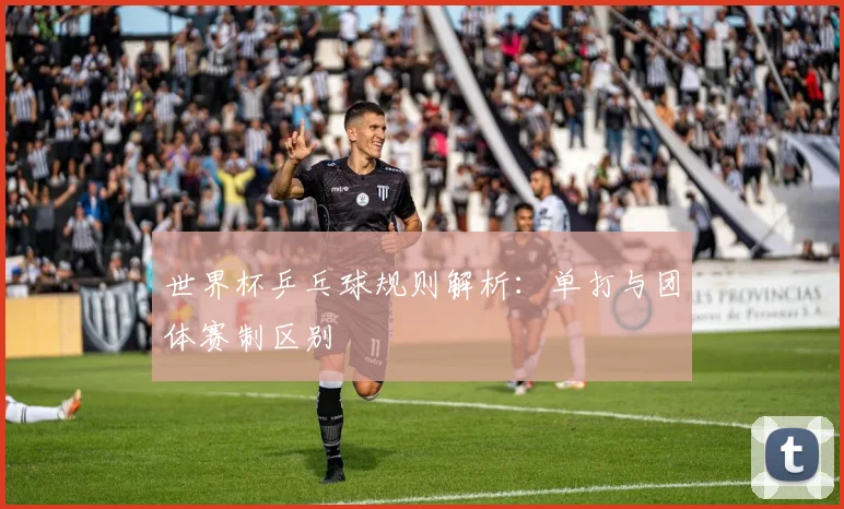 世界杯乒乓球规则解析:单打与团体赛制区别