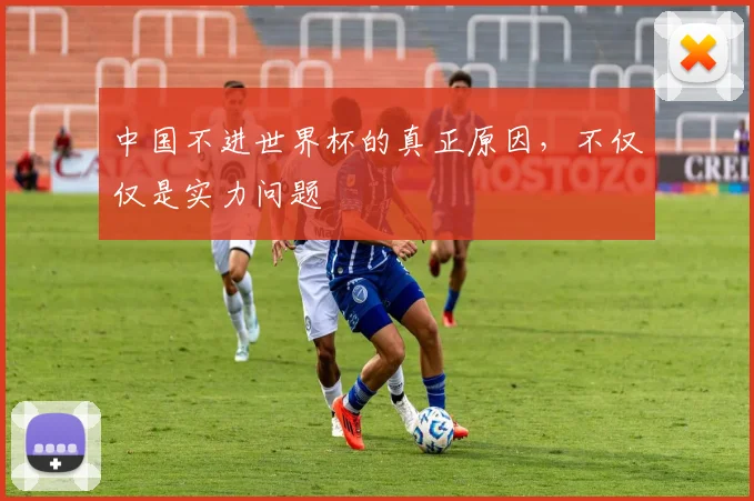 中国不进世界杯的真正原因,不仅仅是实力问题